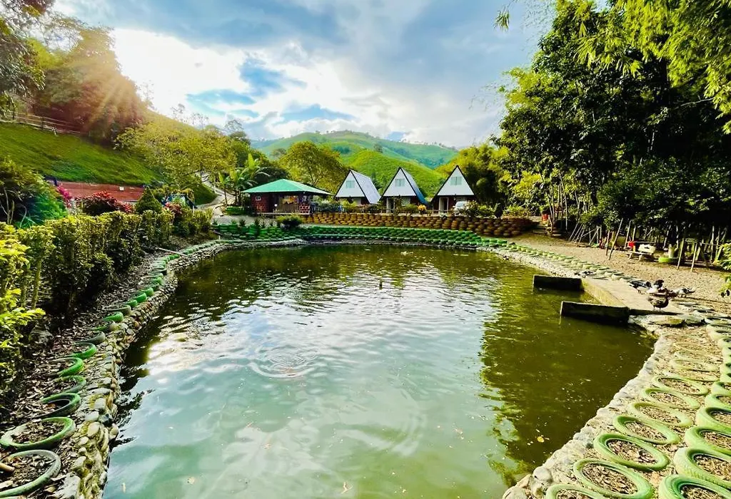Glamping La Cabanita Santuario-1